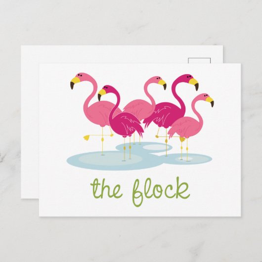 群れ ポストカード (正面/裏面)