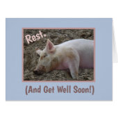 群ユーモアのある豚や眠る豚から元気になる (正面横)