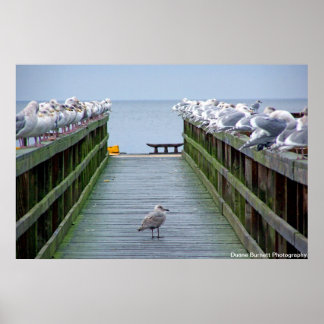 群衆の中で目立つ ポスター