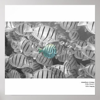 群衆の外に立って ポスター