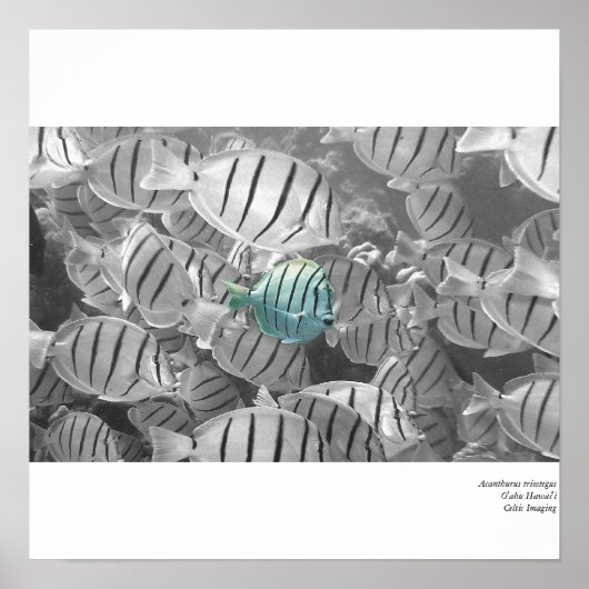 群衆の外に立って ポスター (正面)