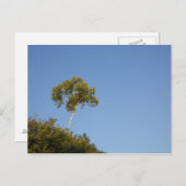 群衆カスタムの木の葉書から目立つ ポストカード (正面/裏面)