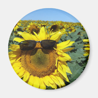 群衆顔 マグネット