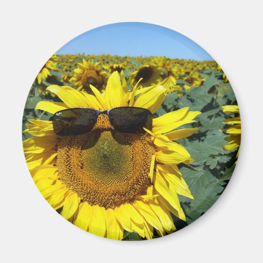 群衆顔 マグネット (正面)