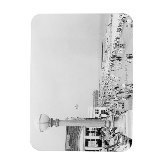 群集2 マグネット (縦)