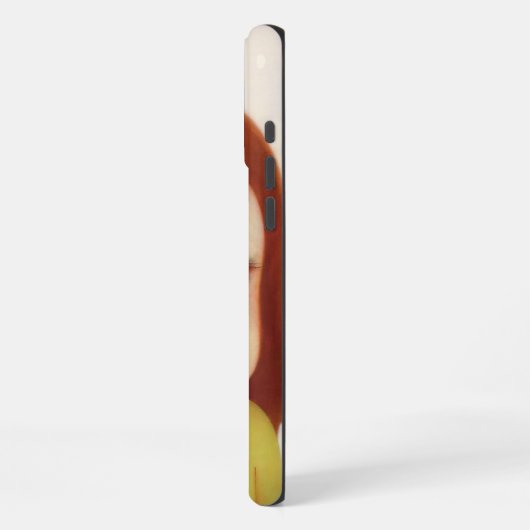 義朝 iPhoneケース (左側面)