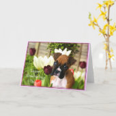 義母ハッピーデイボクサーあいさつカード カード (黄色い花)