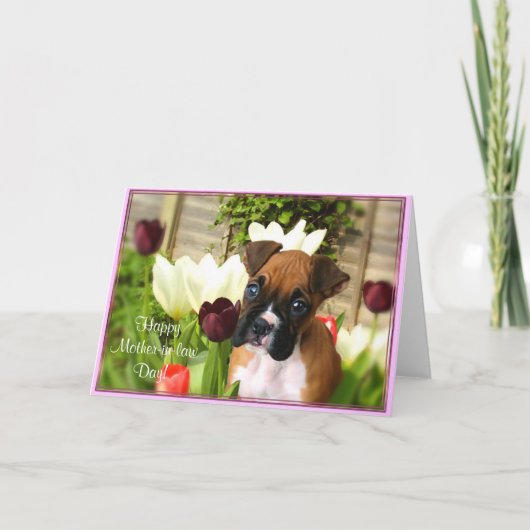 義母ハッピーデイボクサーあいさつカード カード (正面)