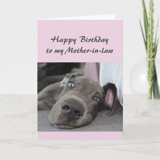 義理の母のおもしろい犬のユーモアへのリラックス誕生日 カード (正面)