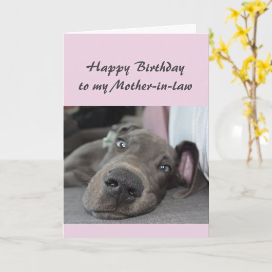 義理の母のおもしろい犬のユーモアへのリラックス誕生日 カード (黄色い花)