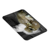 羽から雛が覗き出すシルキーヘン マグネット (右側)