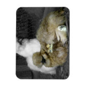 羽から雛が覗き出すシルキーヘン マグネット (縦)