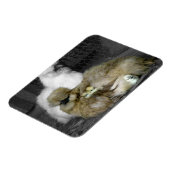 羽から雛が覗き出すシルキーヘン マグネット (左側)