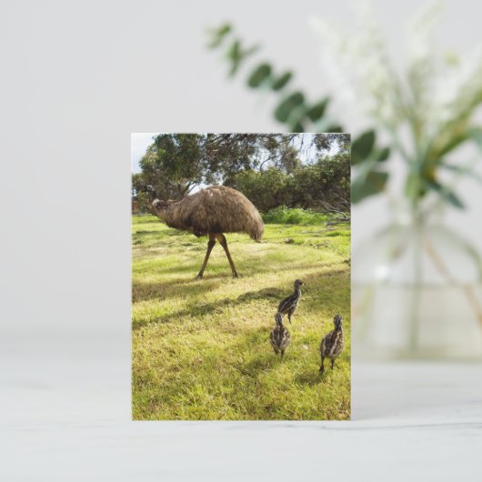 「羽と足跡:ヒナとEmuの父 ポストカード (スタンド正面)