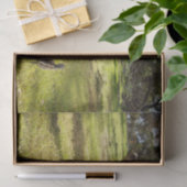 羽と足跡：父のEmu's With Chicks 薄葉紙 (ギフト)