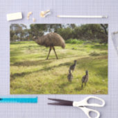 羽と足跡：父のEmu's With Chicks 薄葉紙 (クラフト)