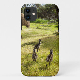 羽と足跡:父のEmu's With Chicks iPhone 11 ケース