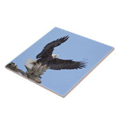 羽のあるハゲワシ タイル (側面)