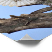 羽のあるハゲワシ ポスター (角)