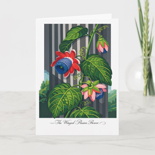 羽のあるパッションフラワー 植物画 カード (正面)