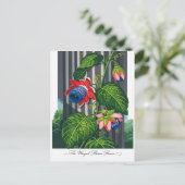 羽のあるパッションフラワー　植物画 ポストカード (スタンド正面)