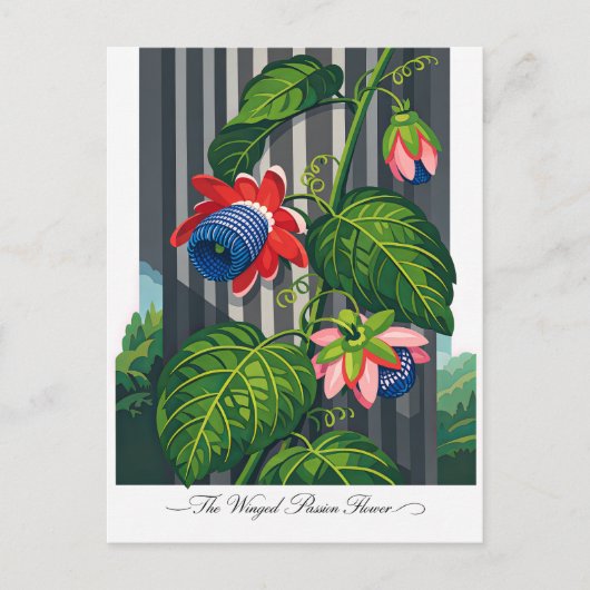 羽のあるパッションフラワー　植物画 ポストカード (正面)