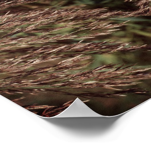 羽のような乾燥した草のクローズアップ抽象芸術 ポスター (角)