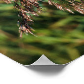 羽のような乾燥した草のクローズアップ自然 ポスター (角)