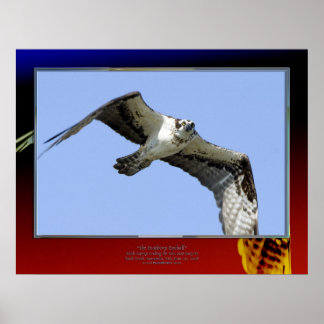 羽のような眼球 ポスター