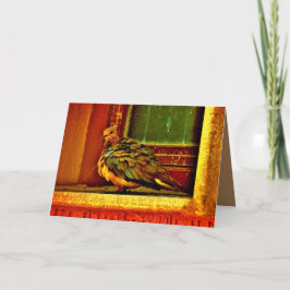 羽のような鳩 カード