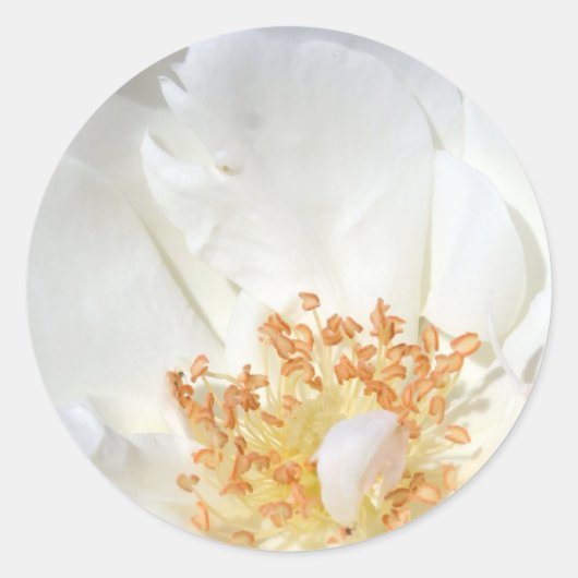 羽のように2丸ステッカー ラウンドシール (正面)