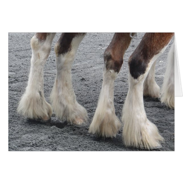 羽の付いた足空白の（内側） (正面横)