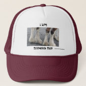 羽の付いた足 キャップ (正面)