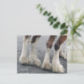 羽の付いた足 ポストカード (スタンド正面)