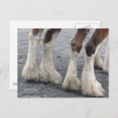 羽の付いた足 ポストカード (正面/裏面)