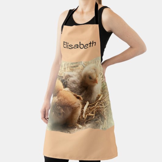 羽の付いた雛の装飾用クッション エプロン (インサイチュ)