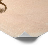 羽の枝のポスターの鳥 ポスター (角)