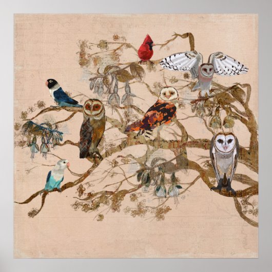 羽の枝のポスターの鳥 ポスター (正面)