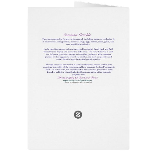 羽の無い日 (裏面)