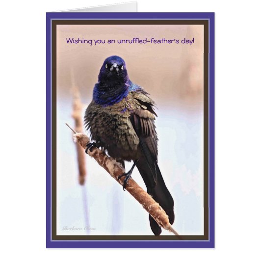 羽の無い日 (正面)