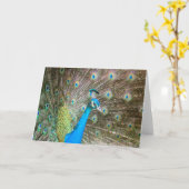 羽の鳥の写真のブランクを持つオスの孔雀 カード (黄色い花)