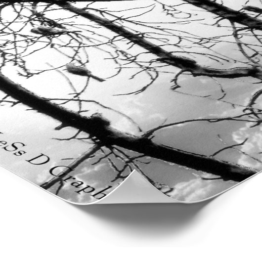 羽の鳥 ポスター (角)