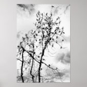 羽の鳥 ポスター (正面)