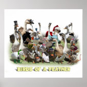 羽の鳥 ポスター (正面)