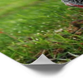 「羽の鳥」 ポスター (角)