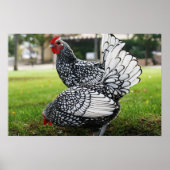 「羽の鳥」 ポスター (正面)