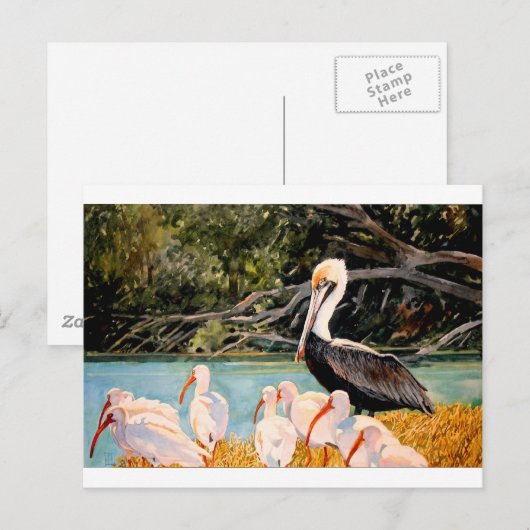 羽の鳥 ポストカード (正面/裏面)