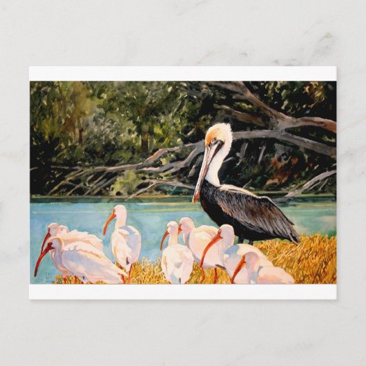 羽の鳥 ポストカード (正面)