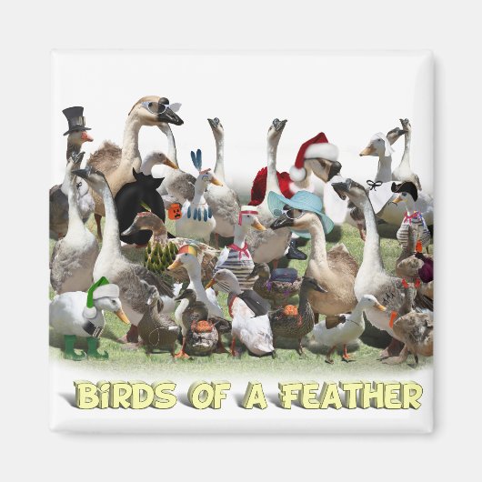 羽の鳥 マグネット (正面)