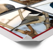 羽の鳥(POSTER) ポスター (角)